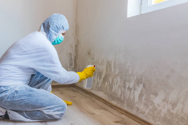 Licensed Mold Remediation service in Kingston Estates, NJ - 24 Hour Mold Removal