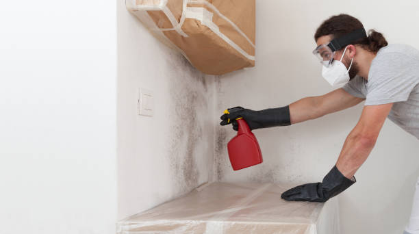 Professional Mold Remediation technician working in Kingston Estates, NJ