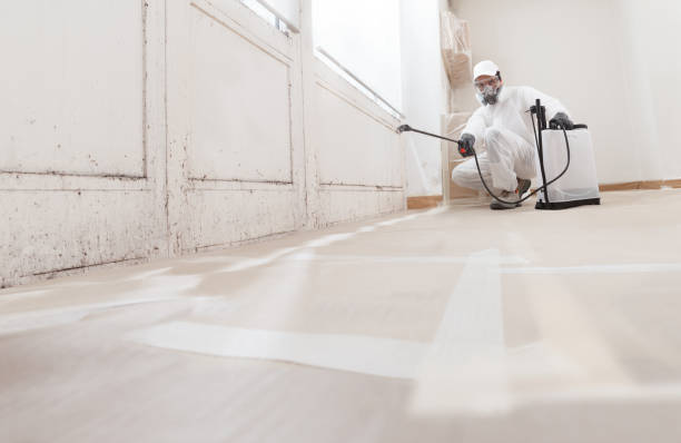 24/7 Emergency Mold Remediation experts in Kingston Estates, NJ