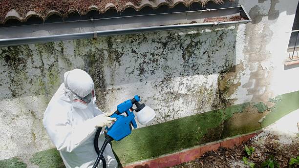 Top rated local Mold Remediation specialists in Kingston Estates, NJ